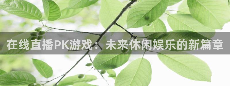 高德娱乐平台登陆：在线直播PK游戏：未来休闲娱乐的新篇章