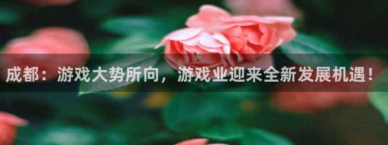 高德娱乐咨询：成都：游戏大势所向，游戏业迎来全新发展机遇！