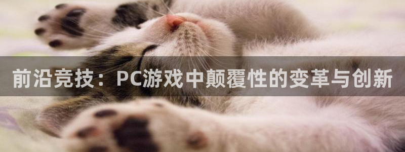 手机版高德娱乐客户端下载