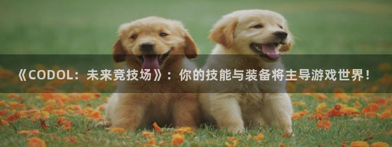 高德娱乐开户测速：《CODOL：未来竞技场》：你的技能与装备