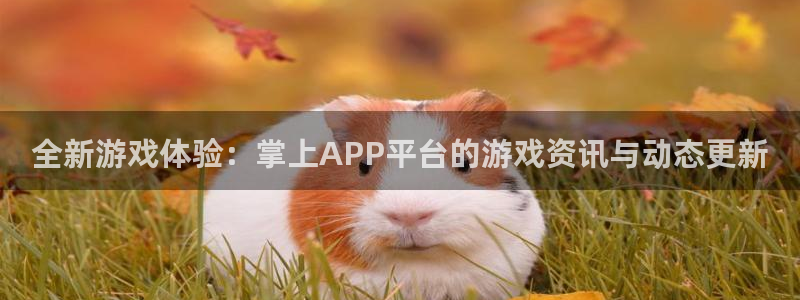 高德娱乐集团：全新游戏体验：掌上APP平台的游戏资讯与动态更