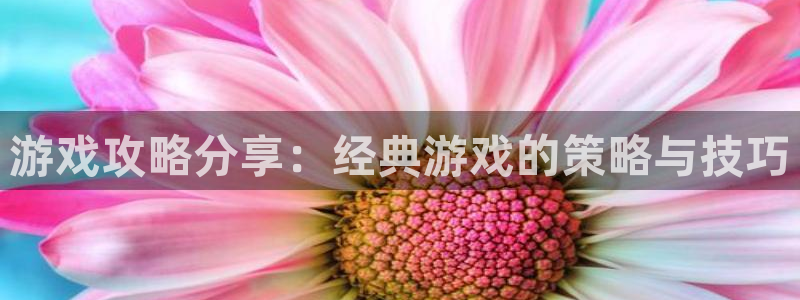 高德娱乐游戏：游戏攻略分享：经典游戏的策略与技巧